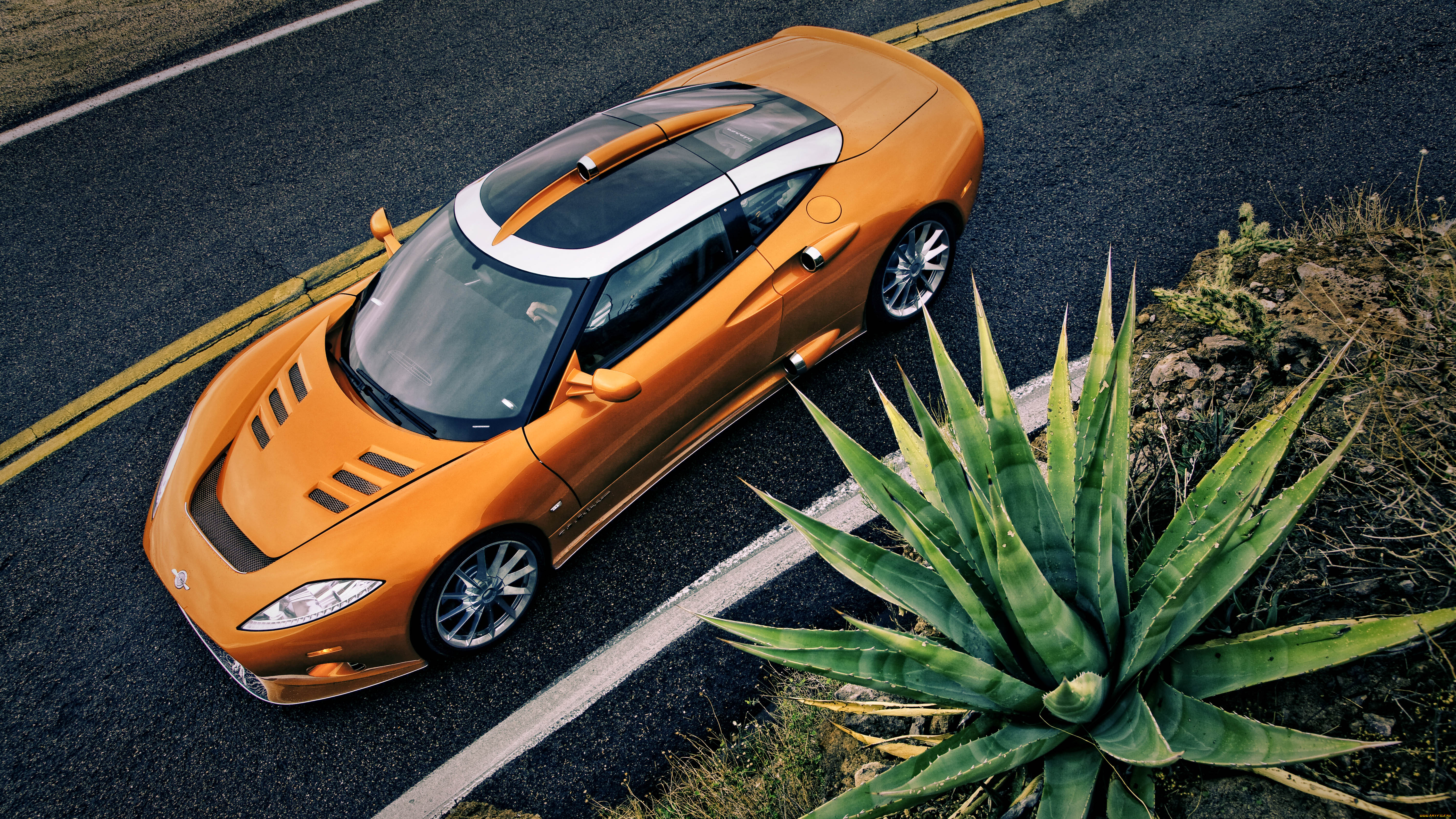, spyker